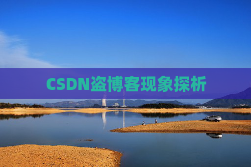 CSDN盗博客现象探析